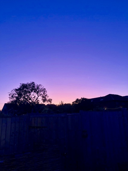 Any Witches Here? Part 9.