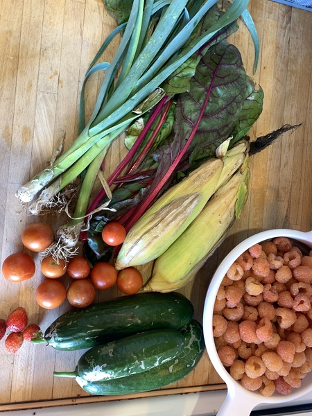 Allotment/Veg Patch Thread 14 ! growing into summer
