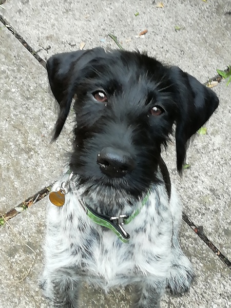 Westministenders: The Non Re-Opening Of Parliament