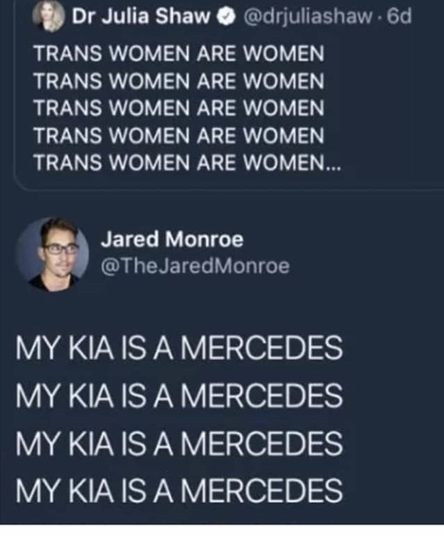 transgenger book being introduced to 12 year old at school