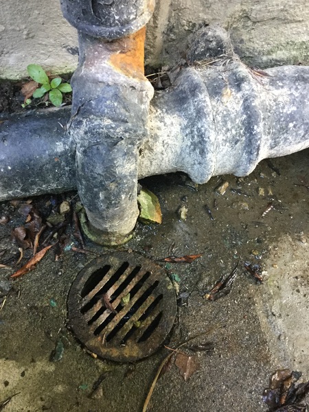 damp- probably multiple kinds! any help welcome