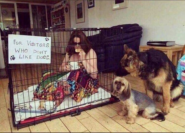 AIBU to ask friend to remove her dog from the room when I visit with my child?