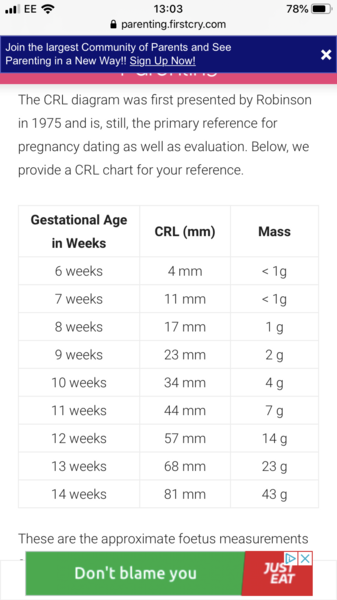 Due May 2020 - could do with a buddy!