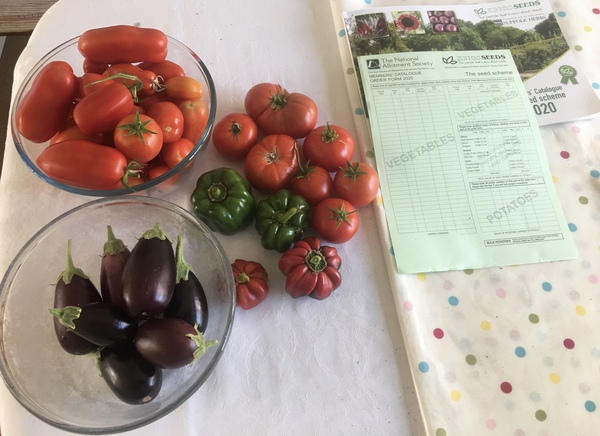 Allotment/Veg Patch Thread 14 ! growing into summer