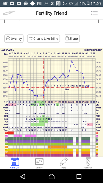 TTC after pregnancy loss 32 - the penguin huddle
