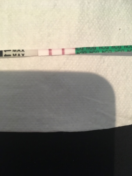 Due May 2020 - could do with a buddy!