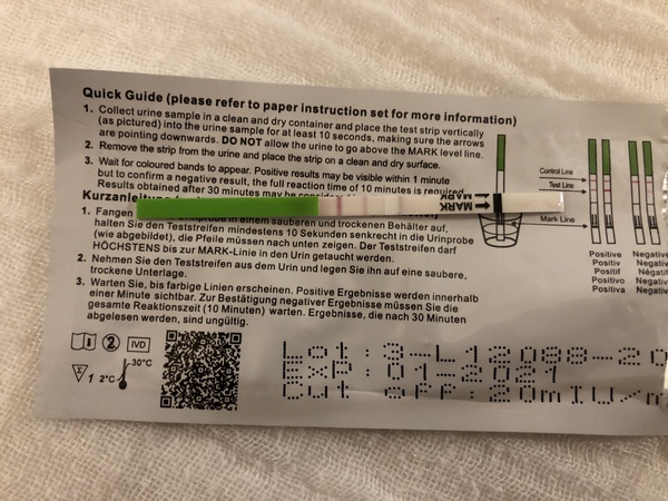 Positive OPK?