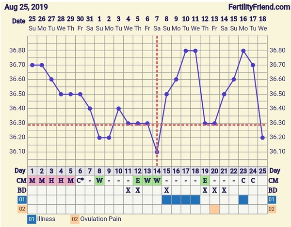 TTC after pregnancy loss 32 - the penguin huddle