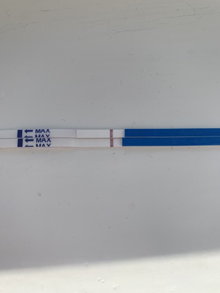 BFP or BFN?