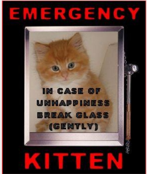 Westminstenders: What hangs in the balance?