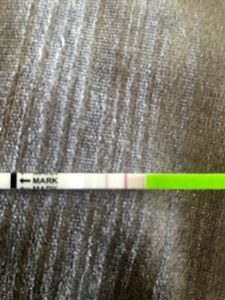 Ovulation, AF, BFP, after miscarriage