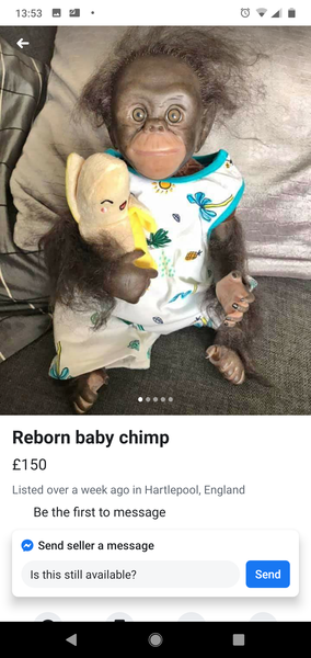 To start another shit for sale on Facebook thread?