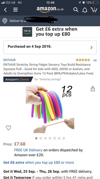 Any ideas for DS who has ASD