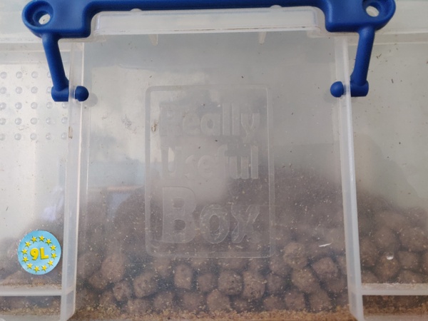 Large sized airtight dry food storage?