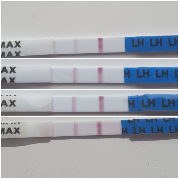 Positive OPK or not quite?