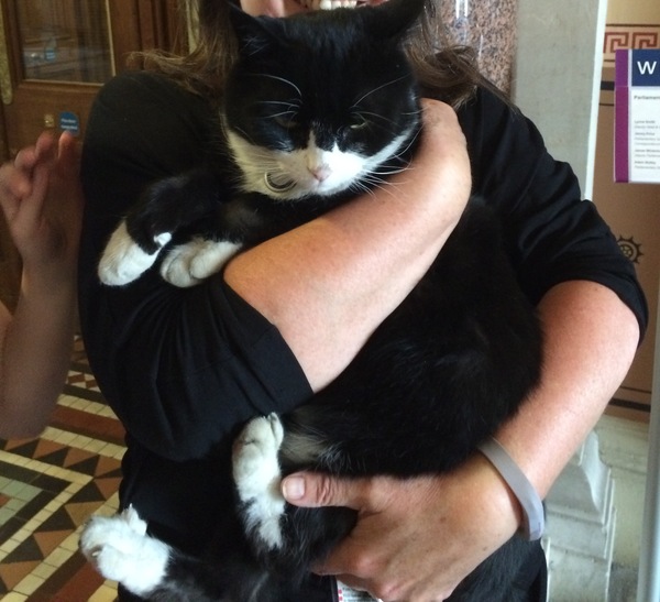 Westministenders: Conference Cult