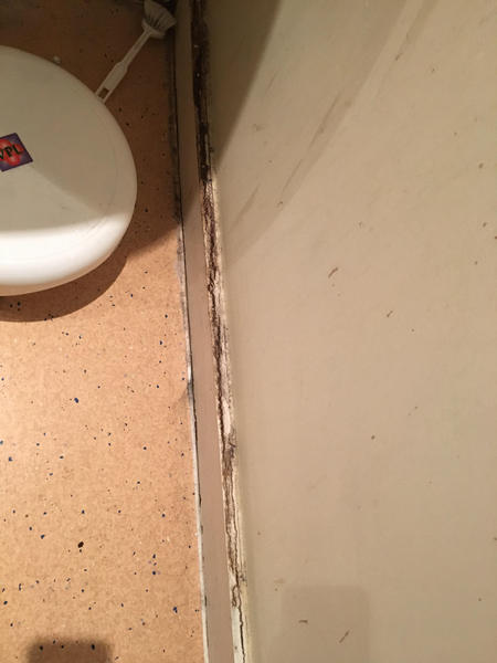 water damaged skirting board in bathroom
