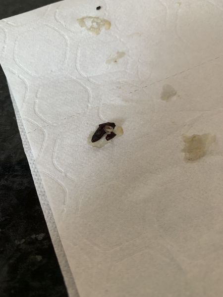 To burn my house down. Wtf is this bug??