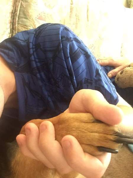 RIP Bumbledog....