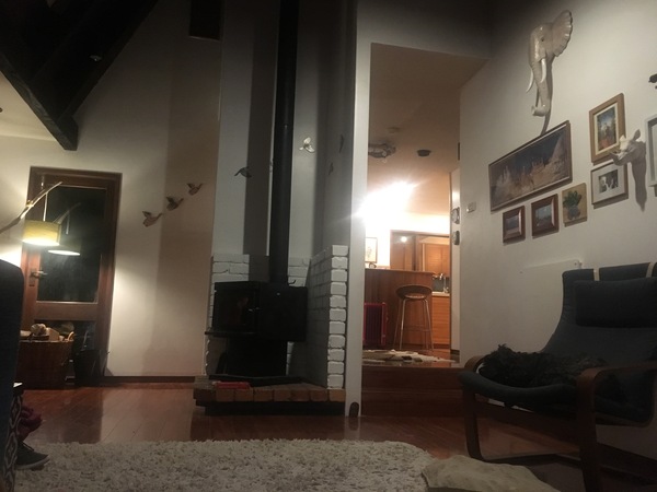 To post the last pic you took?