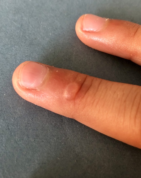What could this be? Pic included