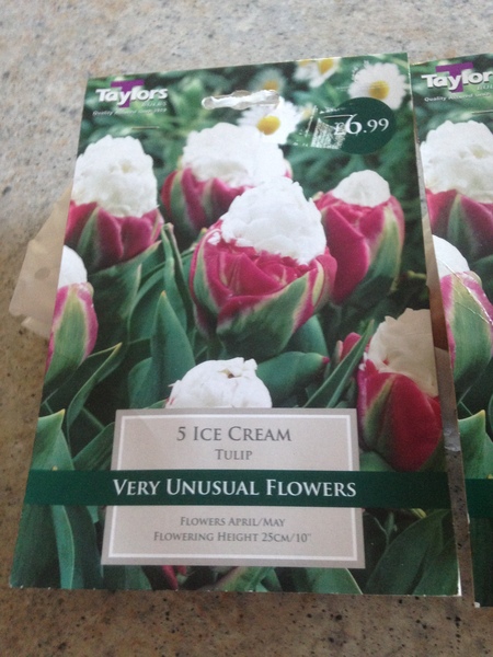 What are you most excited about planting in Sept/Oct?
