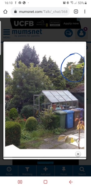 Do you see it? Please tell me I am not the only one