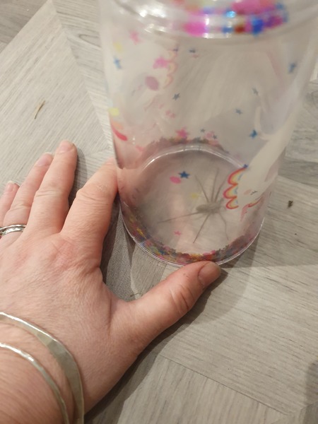 Home extension 2019 the Third thread- Drowning in Dust