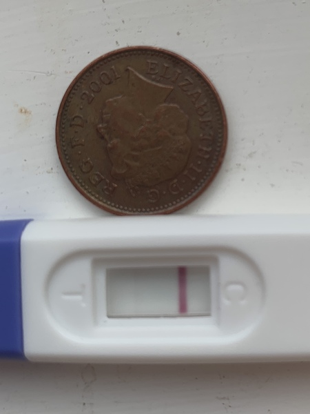 Asda pregnacy test pic - 11 DPO