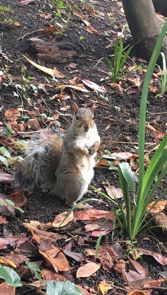 Any Witches Here? Part 9.