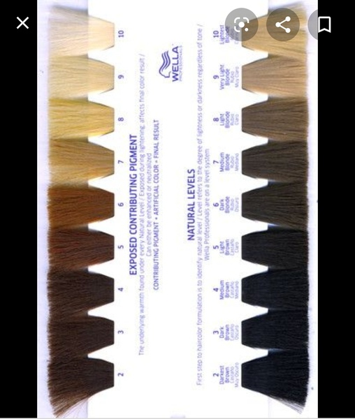 Hair toner