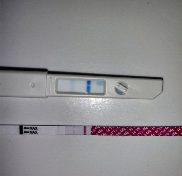 First Pregnancy Missed Miscarriage (Part 4)