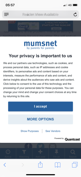 Privacy notice coming up on every page