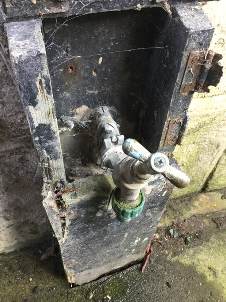 damp- probably multiple kinds! any help welcome
