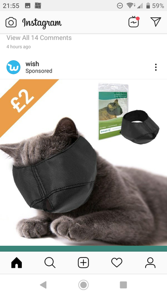 What the hell is this?!