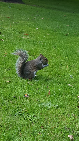 My lunch mate just stole my crisps!