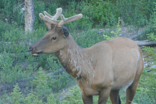 Westminstenders: What hangs in the balance?