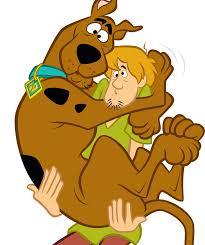 What is the most bizzare habit your dog has?