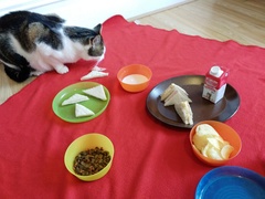 Cats Birthday Party (4 years old)