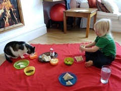 Cats Birthday Party (4 years old)