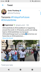 To wonder if school children understand the concept of a (climate) strike