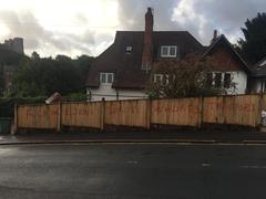 Westminstenders: The Tory Party Spectacular