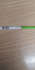 Ovulation Corner