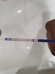 Myo inositol