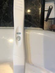 HELP - is this pregnancy test positive or negative?