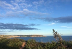 Any Witches Here? Part 9.