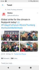 To wonder if school children understand the concept of a (climate) strike