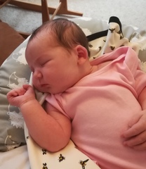 August/September 2019 Babies (Due in Sept 19)