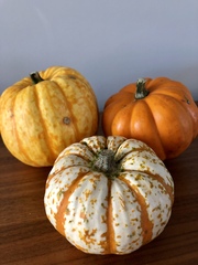 Any Witches Here? Part 9.