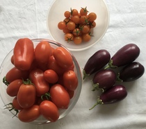 Allotment/Veg Patch Thread 14 ! growing into summer